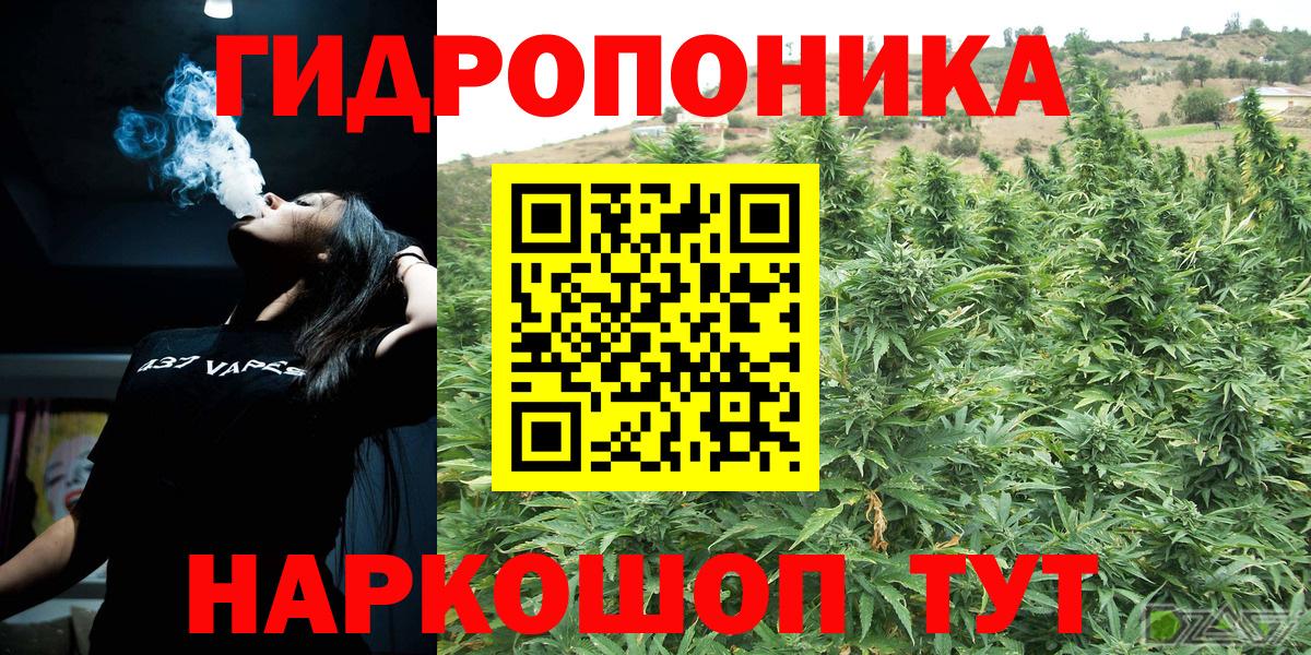Марихуана конопля Благовещенск
